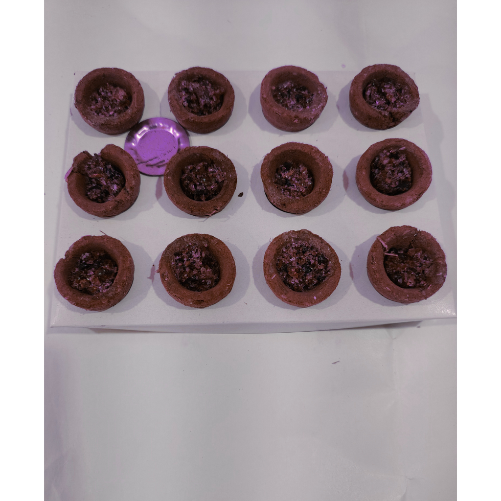 Gou Ganga Aromatic Sambrani Cup, 12 Cups Pack