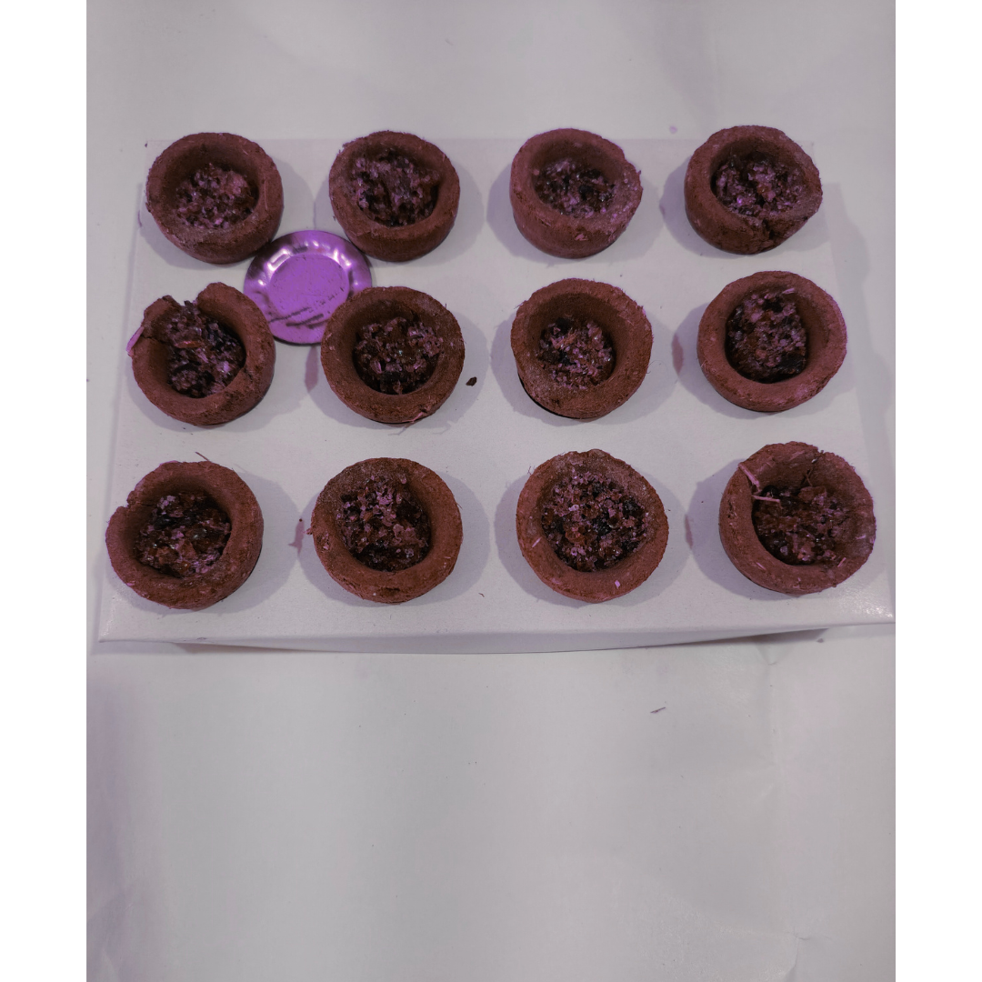 Gou Ganga Aromatic Sambrani Cup, 12 Cups Pack